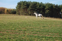 Lehrgänge