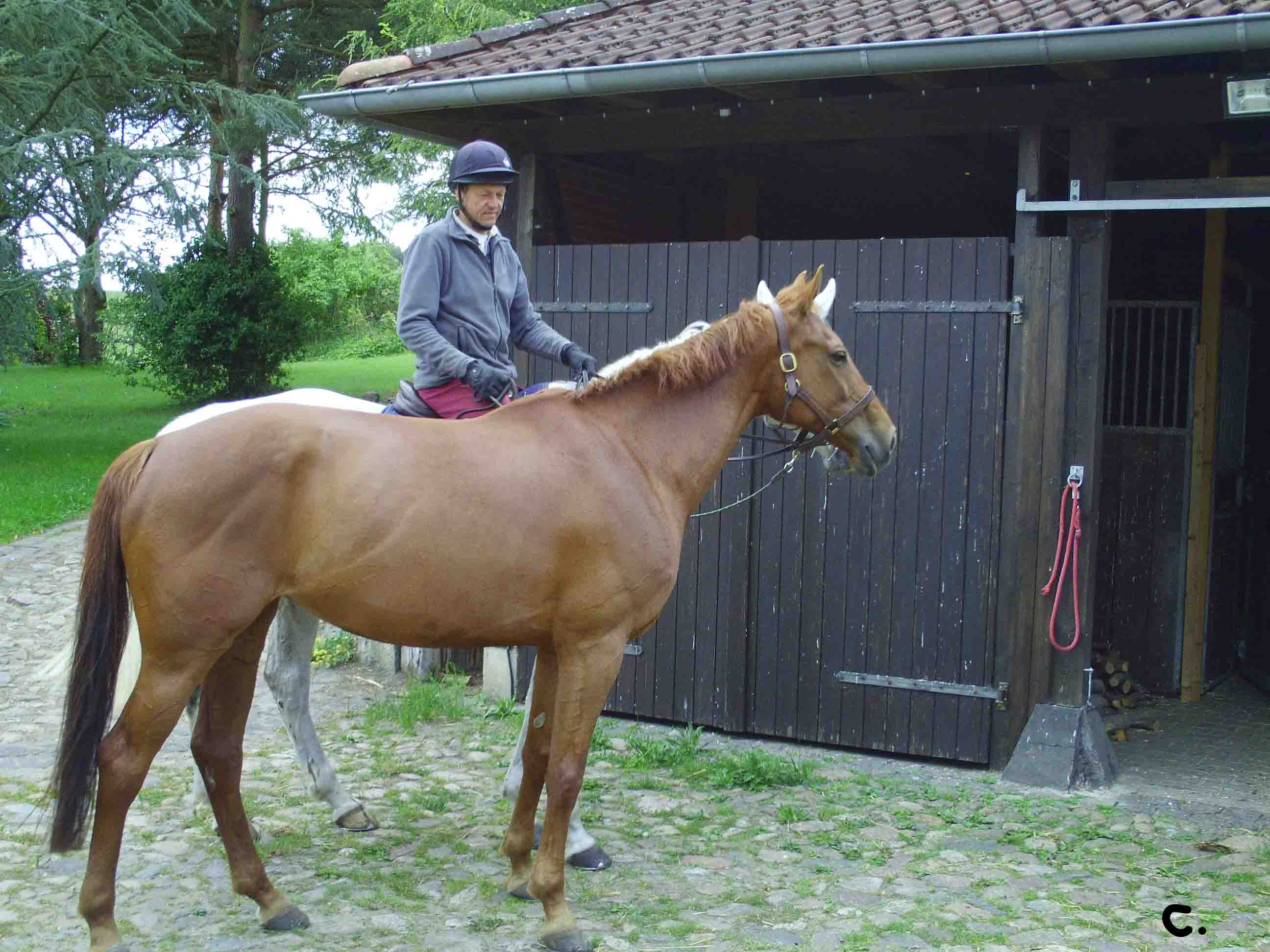 P Cristina Ahnert